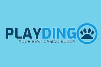 Casino Review PlayDingo Casino Review