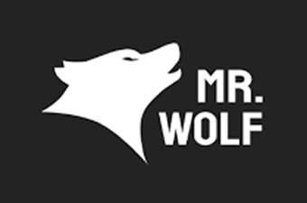 Casino Review Mr Wolf Slots Casino Review
