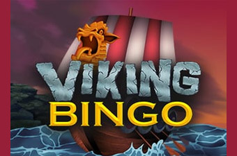 Casino Review Viking Bingo Casino Review