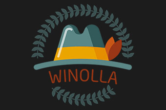 Casino Review Winolla Casino Review