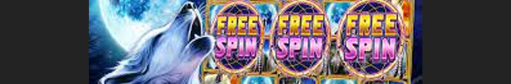 Mr Wolf Slots Casino Bonus