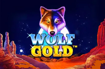 Casino Review Wolf Gold Slot Review